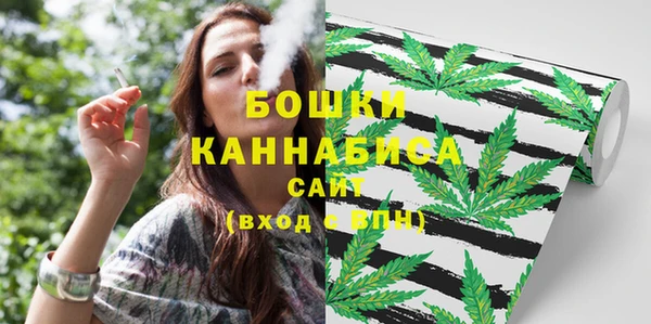 ПСИЛОЦИБИНОВЫЕ ГРИБЫ Балахна