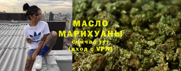 твердый Михайловск