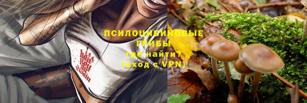 ПСИЛОЦИБИНОВЫЕ ГРИБЫ Балахна