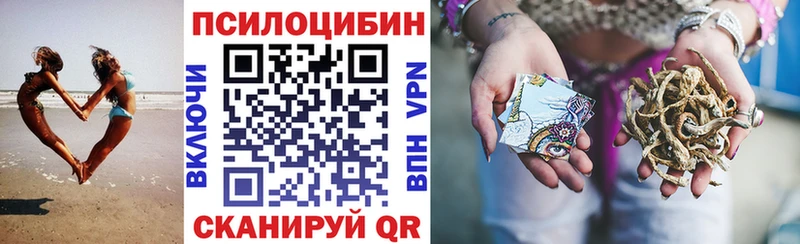 Псилоцибиновые грибы Cubensis Щёлкино